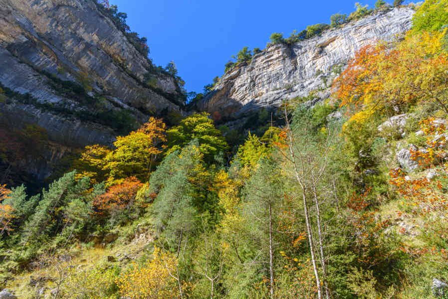 Huesca - parque nacional de Ordesa y Monte Perdido - valle de Añisclo 84 - cañon de Añisclo.jpg